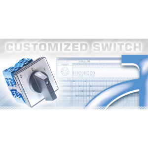 Customized Switch